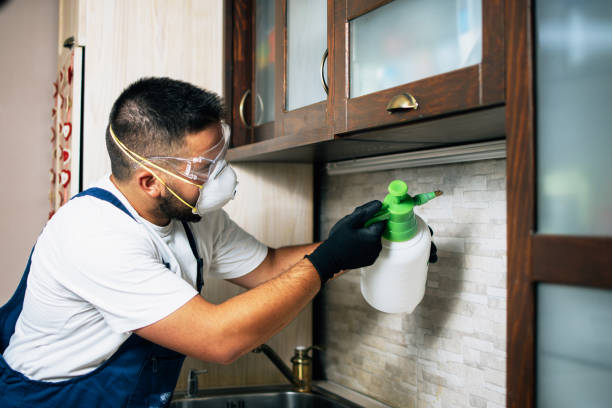Best Pest Control for Homes  in Pardeeville, WI