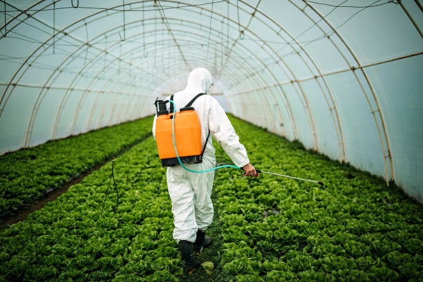 Best Emergency Pest Control  in Pardeeville, WI